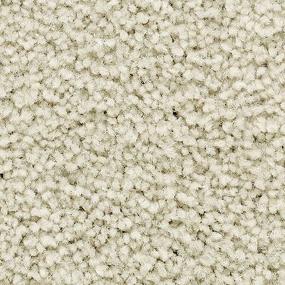 Textured Saxony Outrigger White Carpet