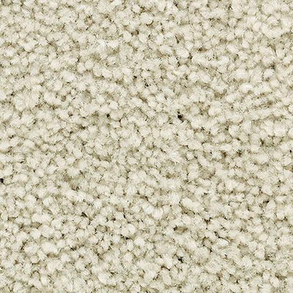 Textured Saxony Outrigger White Carpet