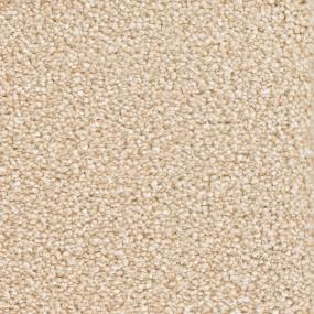 Plush Saxony Warm Tan Beige/Tan Carpet
