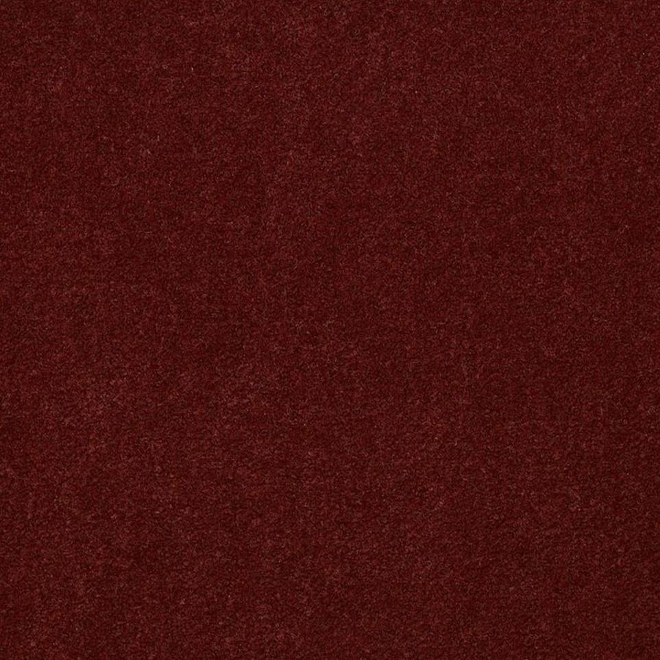 Cut Pile Cider Red Carpet
