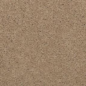 Textured Saxony Villa Brown Carpet