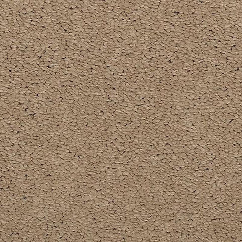 Textured Saxony Villa Brown Carpet