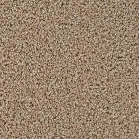 Textured Saxony Charming Brown Carpet