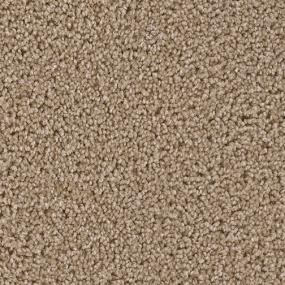 Texture Charming Brown Carpet