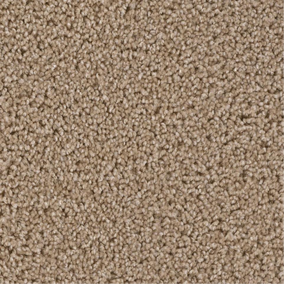 Textured Saxony Charming Brown Carpet