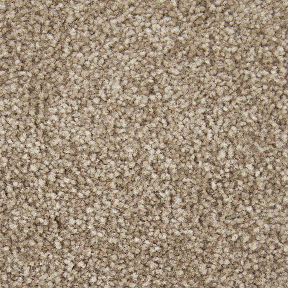 Pattern Mysterious Beige/Tan Carpet