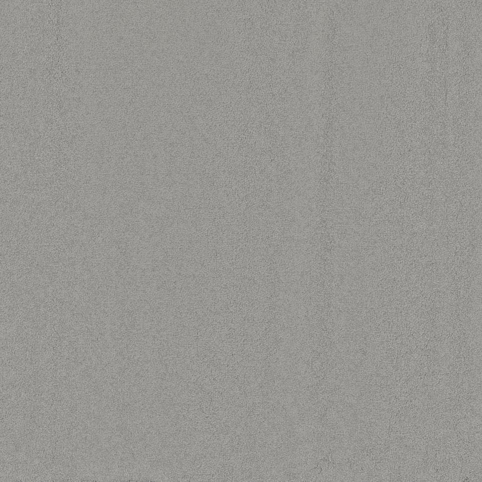 Casual Texture Seagull Gray Carpet