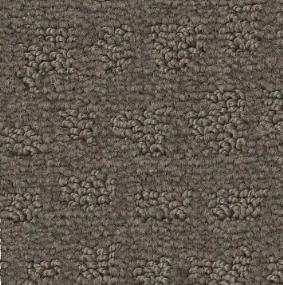 Pattern Marblehead Brown Carpet
