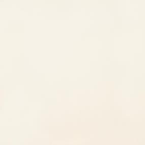 Tile Chalk Polished Beige/Tan Tile