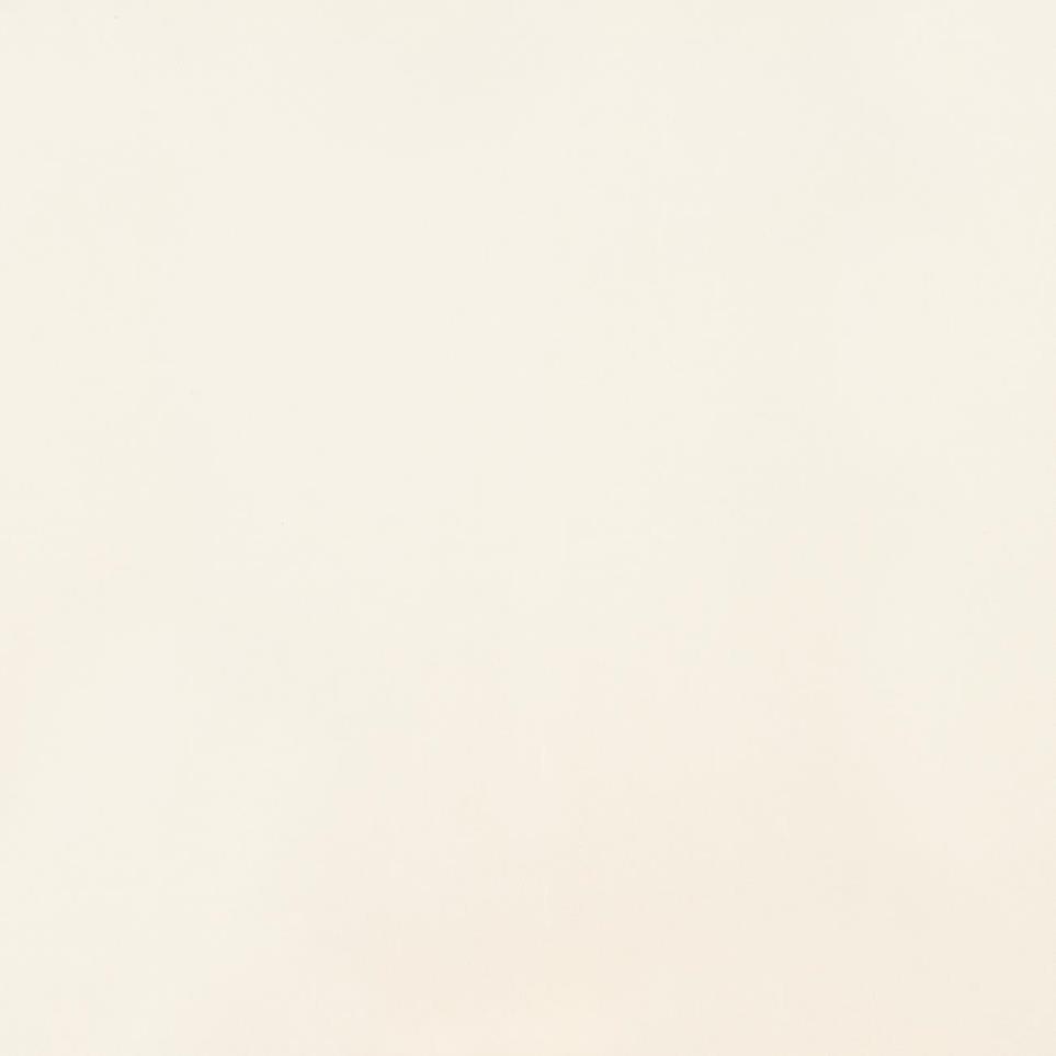 Tile Chalk Polished Beige/Tan Tile