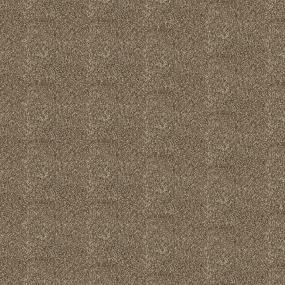 Textured Saxony Tortoise Shell Beige/Tan Carpet