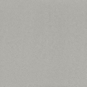Textured Saxony Clear Range Gray Carpet