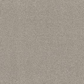 Casual Texture Neutral Ground Beige/Tan Carpet