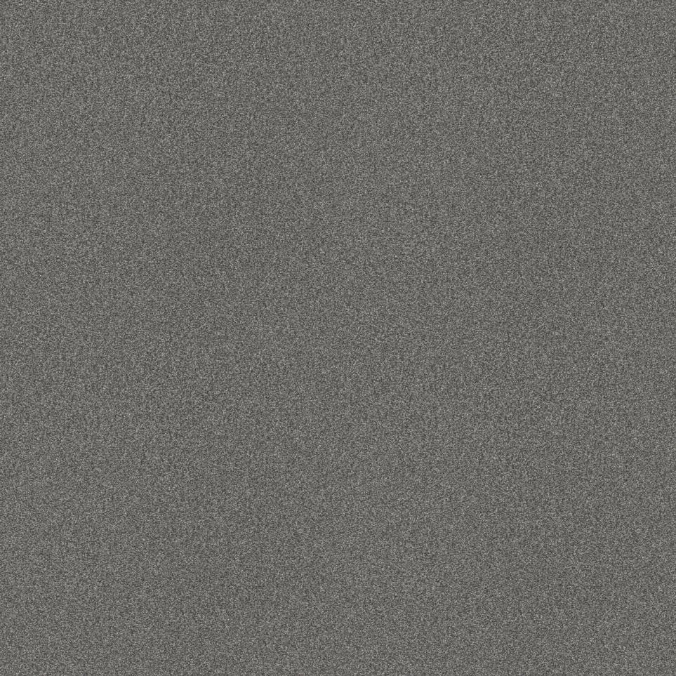 Textured Saxony Cold Steel Gray Carpet