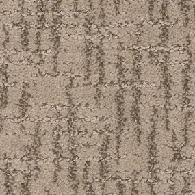 Pattern Weathered Brown Carpet