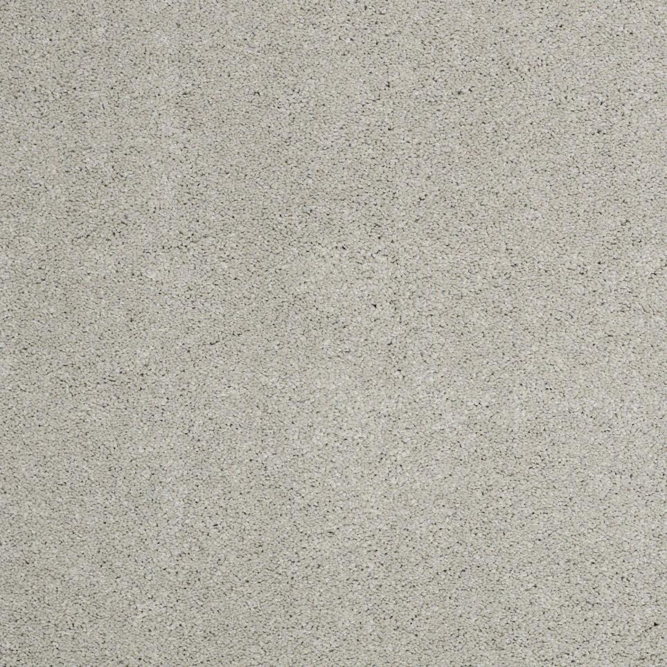 Texture Stainless Steel Gray Carpet