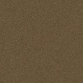 Textured Saxony Hearth Brown Carpet