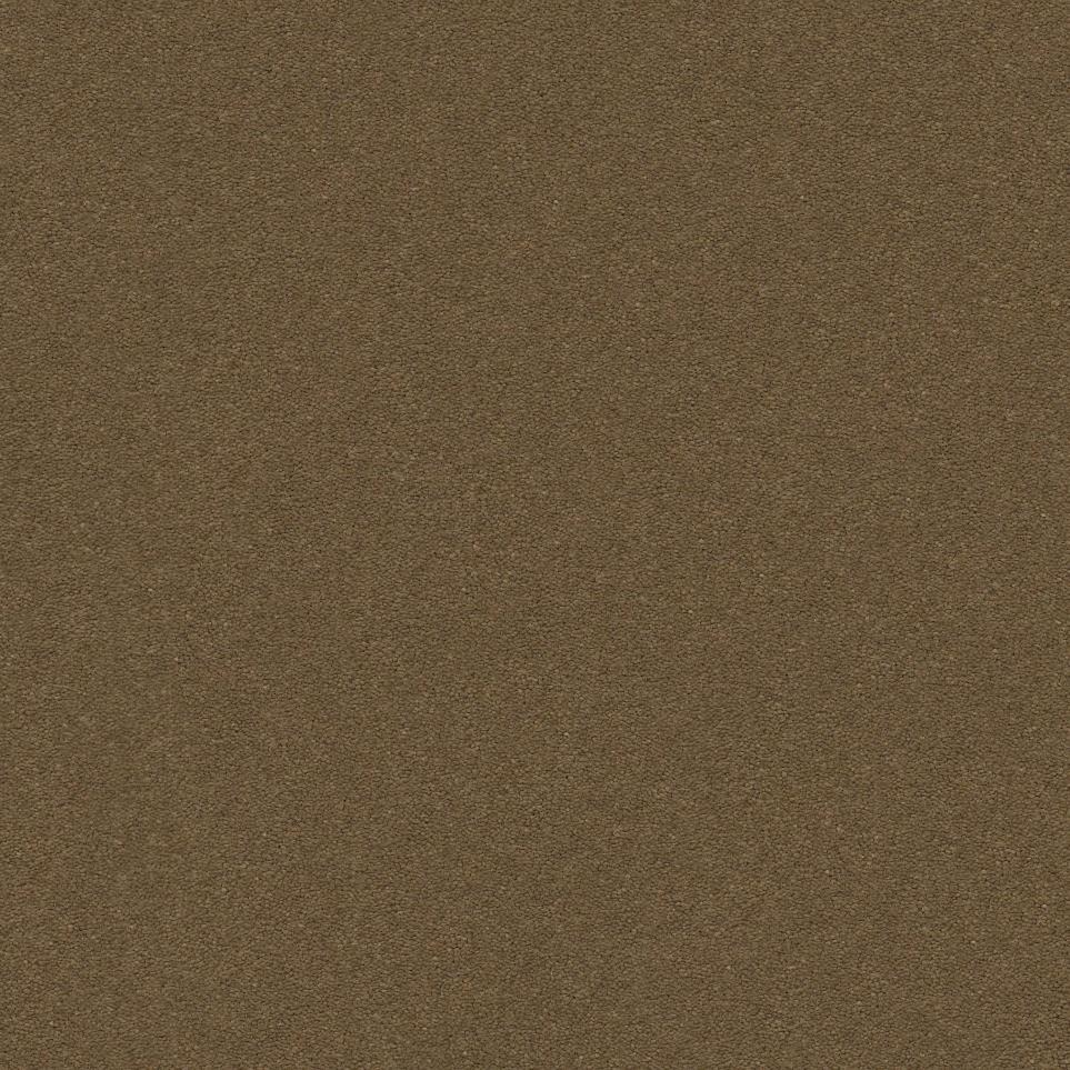 Textured Saxony Hearth Brown Carpet
