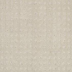 Pattern Arctic Beige/Tan Carpet