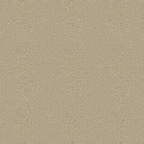 Plush Saxony Wheatfield Beige/Tan Carpet
