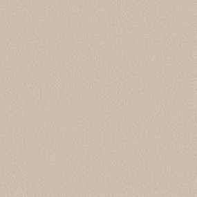 Texture Baja Beige/Tan Carpet