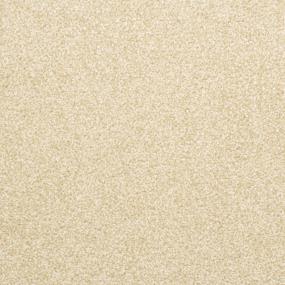 Casual Texture Camelite Beige/Tan Carpet