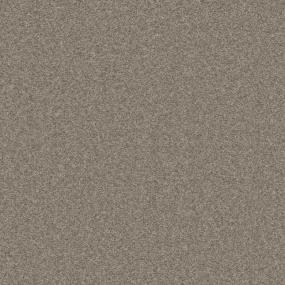 Textured Saxony Driftwood Beige/Tan Carpet