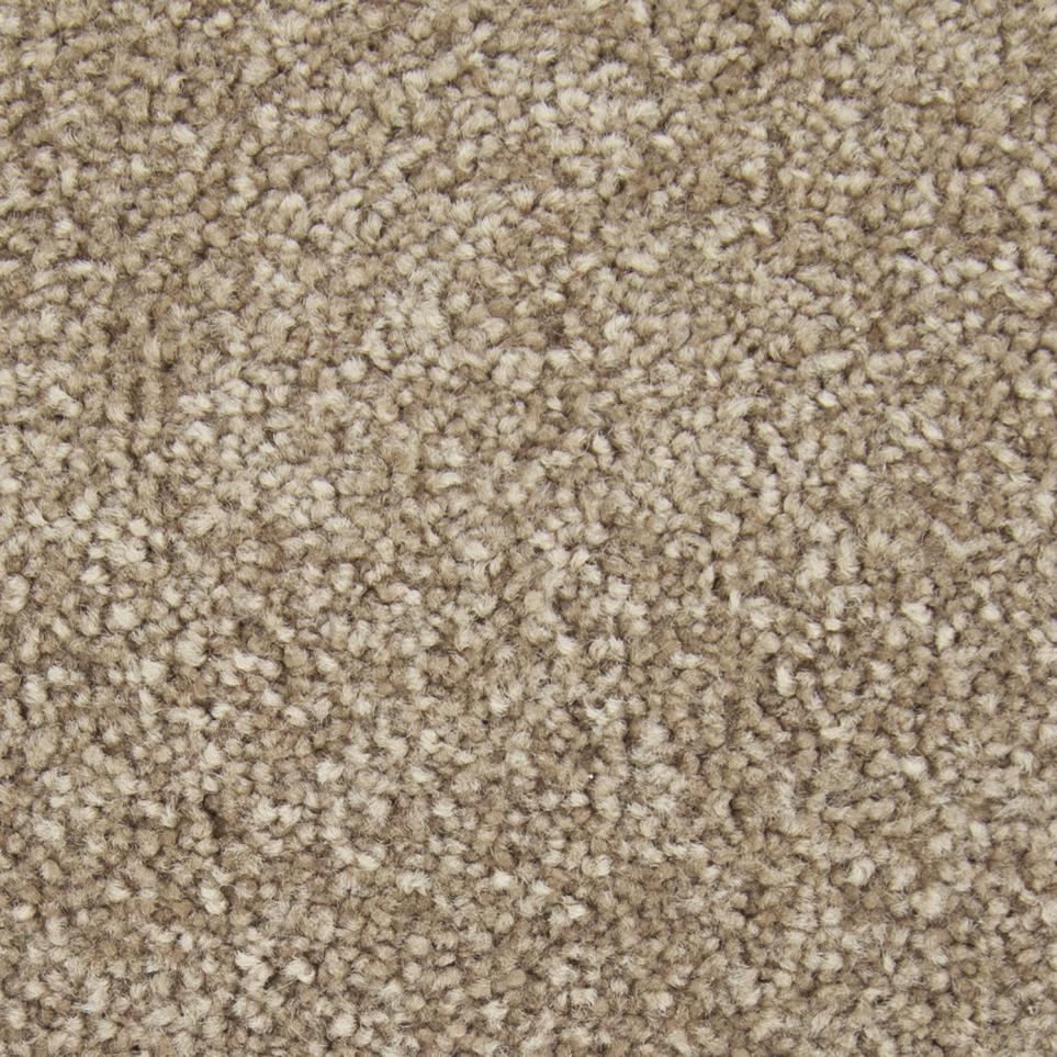 Textured Saxony Mysterious Beige/Tan Carpet