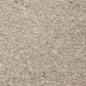 Textured Saxony Astounding Beige/Tan Carpet