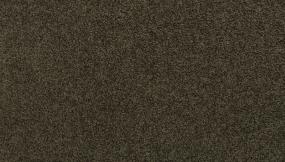 Texture Bark Brown Carpet