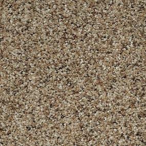 Textured Saxony Cape Sands Brown Carpet