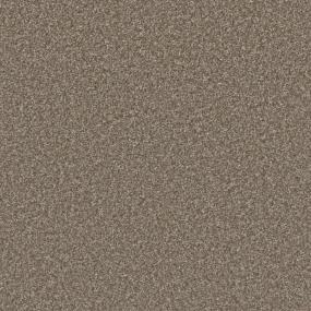 Textured Saxony Impressive Brown Carpet