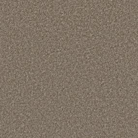 Textured Saxony Impressive Brown Carpet
