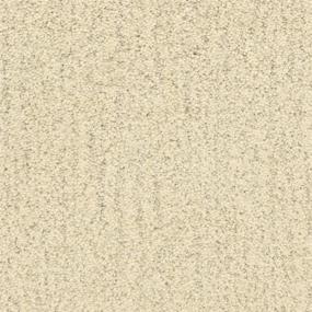 Textured Saxony Coastline Beige/Tan Carpet