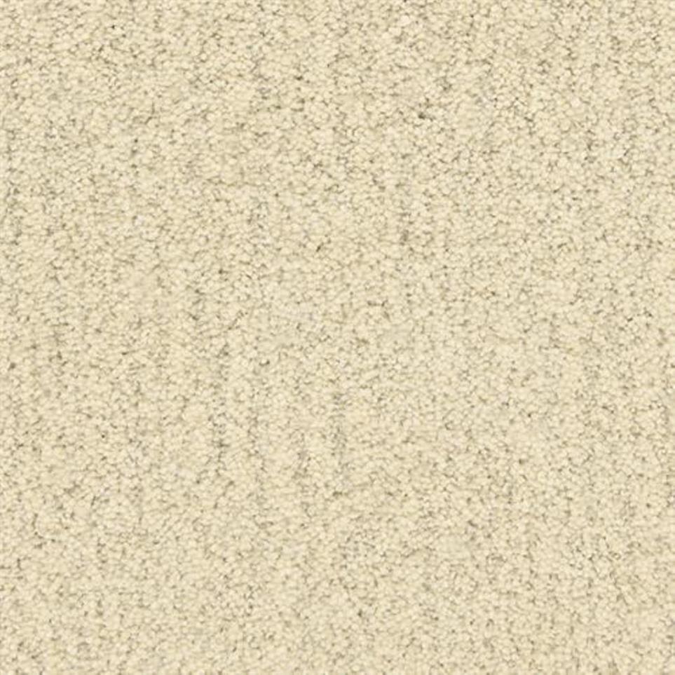 Textured Saxony Coastline Beige/Tan Carpet