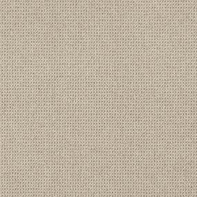 Berber Egyptian Desert Beige/Tan Carpet