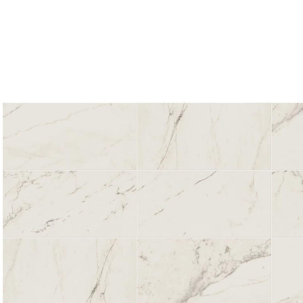 Tile Palazzo White Polished White Tile