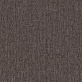 Pattern Gravity Brown Carpet
