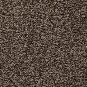 Textured Saxony Steeple Brown Carpet