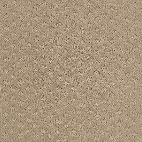 Pattern Artisan Beige/Tan Carpet
