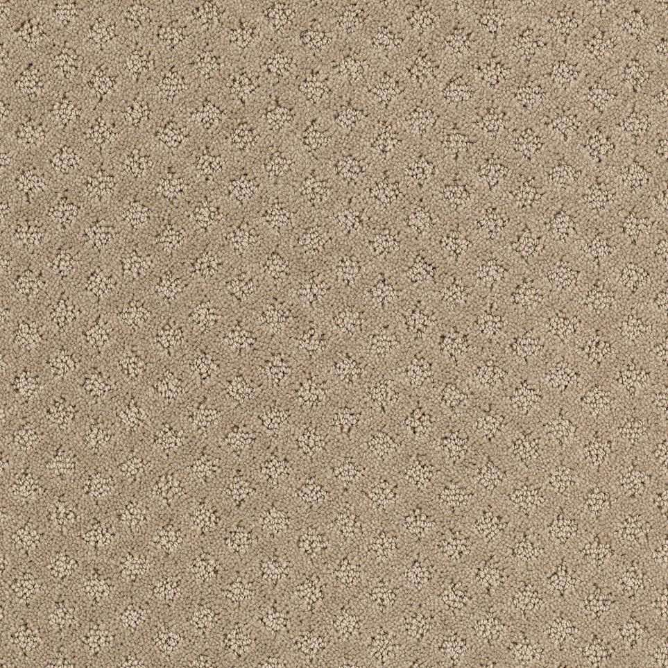 Pattern Artisan Beige/Tan Carpet