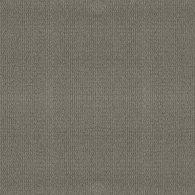 Loop Yard Walk Beige/Tan Carpet