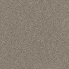 Textured Saxony Barista Beige/Tan Carpet