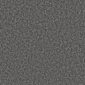 Loop Mutable Gray Carpet