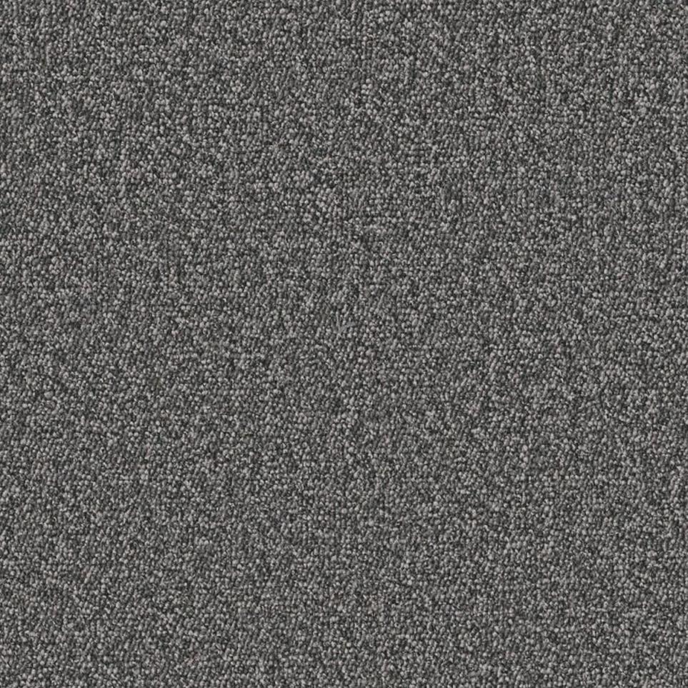 Loop Mutable Gray Carpet