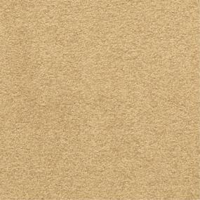 Casual Texture Celebrate Beige/Tan Carpet