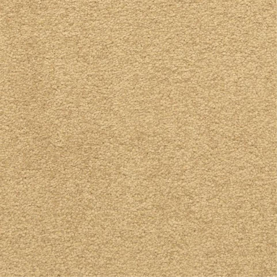 Casual Texture Celebrate Beige/Tan Carpet