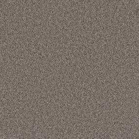 Textured Saxony Soft Sound Beige/Tan Carpet