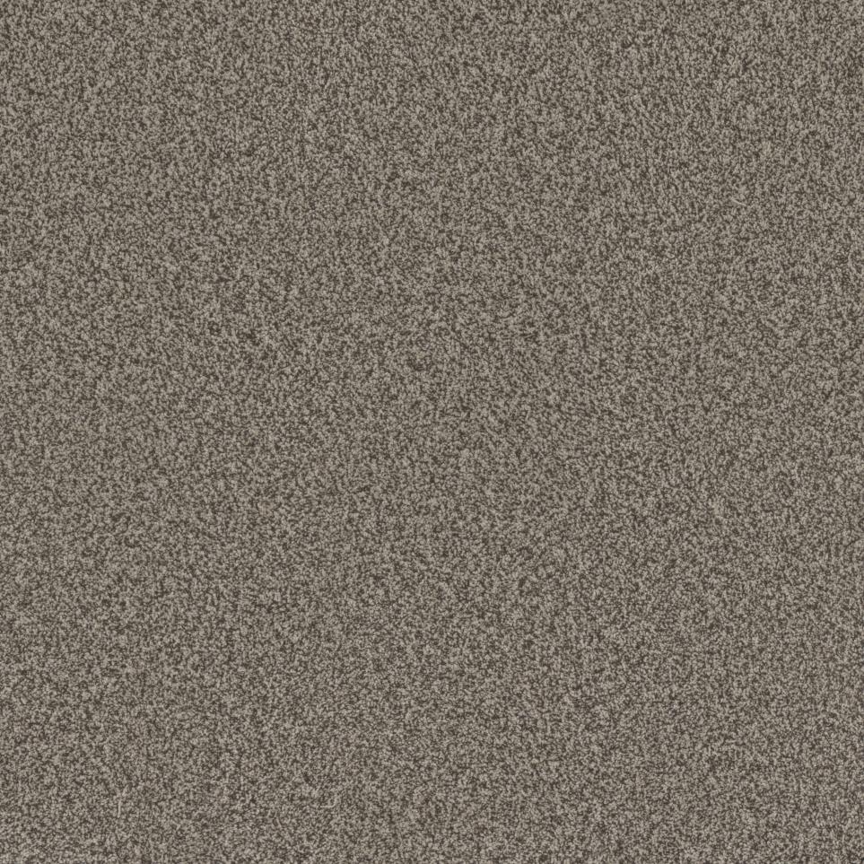 Textured Saxony Soft Sound Beige/Tan Carpet