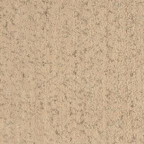 Woven Blush Beige/Tan Carpet